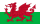 Wales flagga