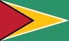 Guyanas flagga