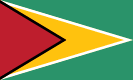 Guyanas flagga