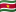 Surinams flagga