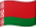 Belarus flagga