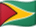 Guyanas flagga