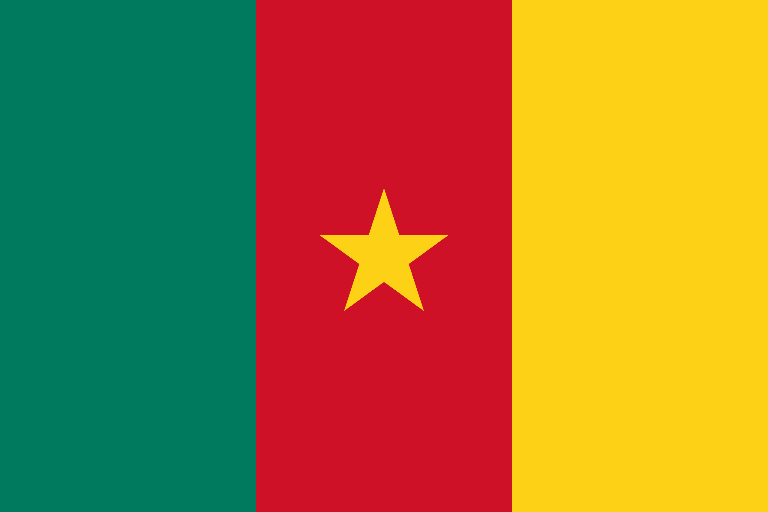 Bildresultat fÃ¶r kamerun flagga