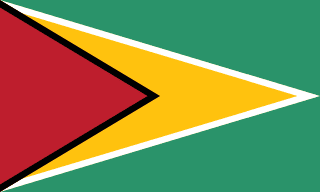 Guyanas flagga