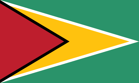 Guyanas flagga