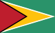 Guyanas flagga