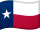 Texas flagga