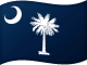 South Carolinas flagga